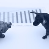 bull vs bear markets